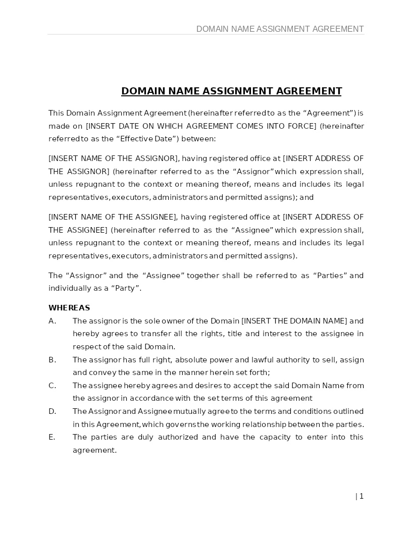 DOMAIN NAME ASSIGNMENT AGREEMENT