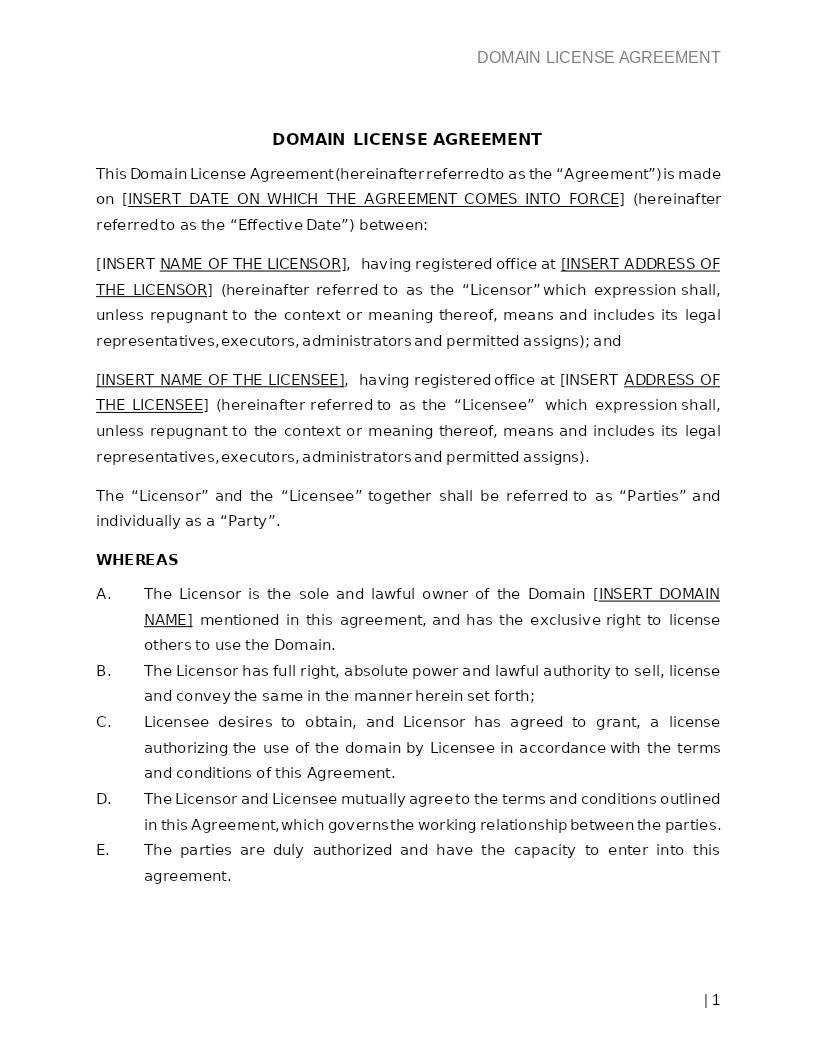 DOMAIN LICENSE AGREEMENT