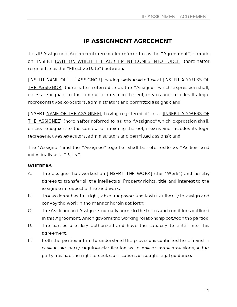 IP ASSIGNMENT AGREEMENT