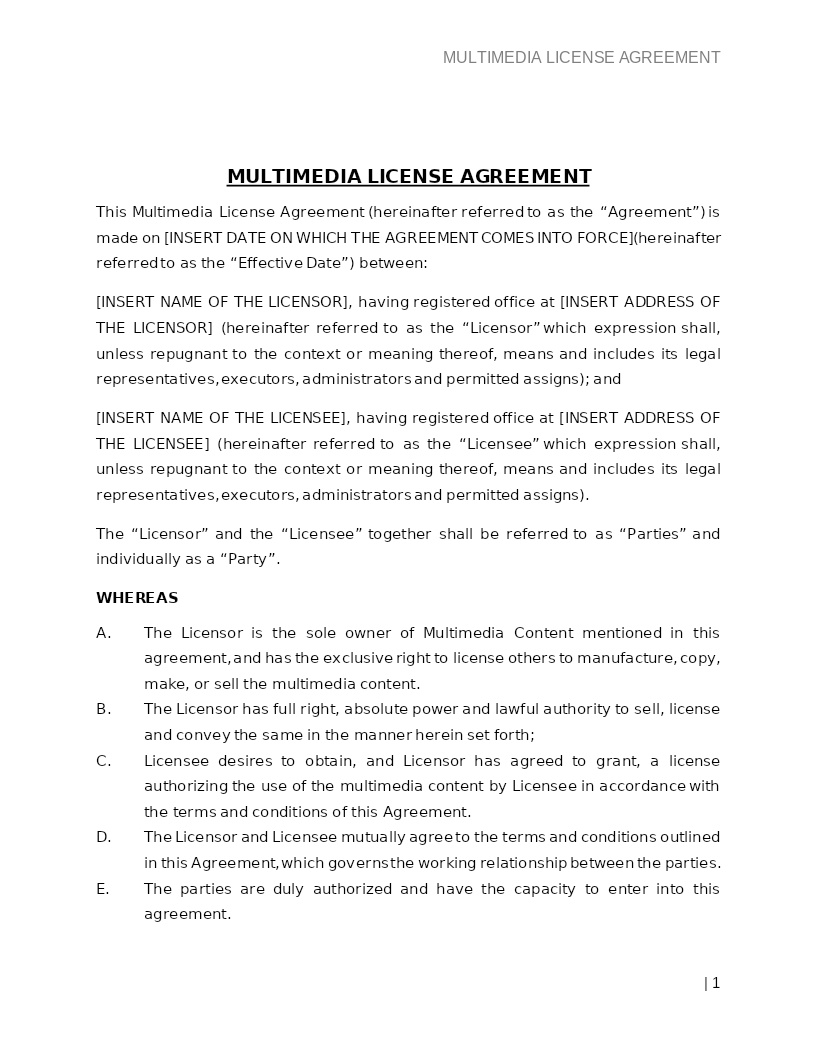 MULTIMEDIA LICENSE AGREEMENT