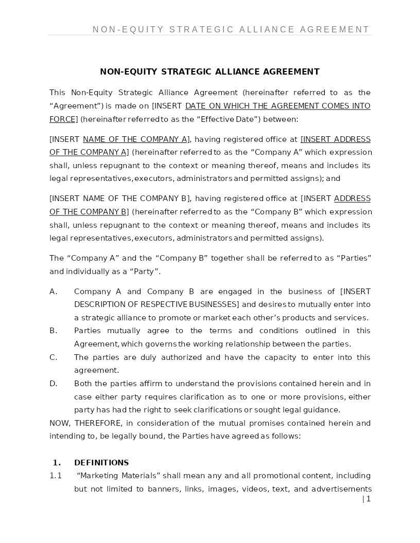 NON-EQUITY STRATEGIC ALLIANCE AGREEMENT