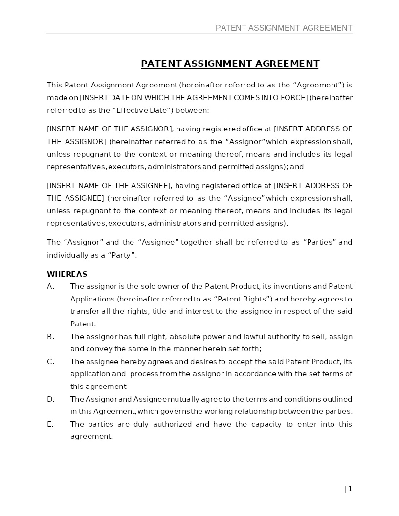 PATENT ASSIGNMENT AGREEMENT