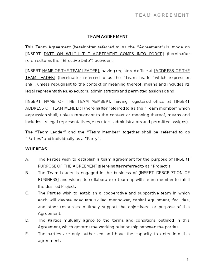 TEAM AGREEMENT