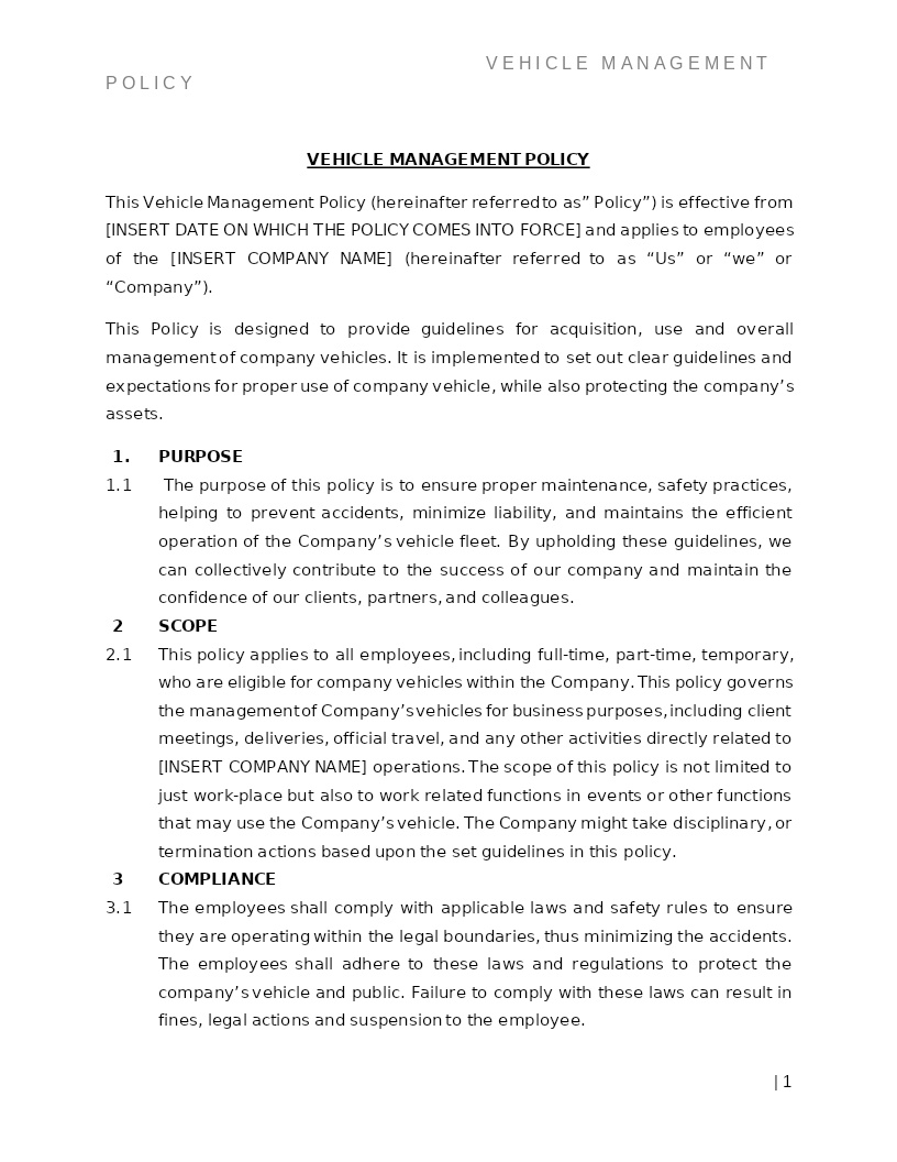 VEHICLE MANAGEMENT POLICY