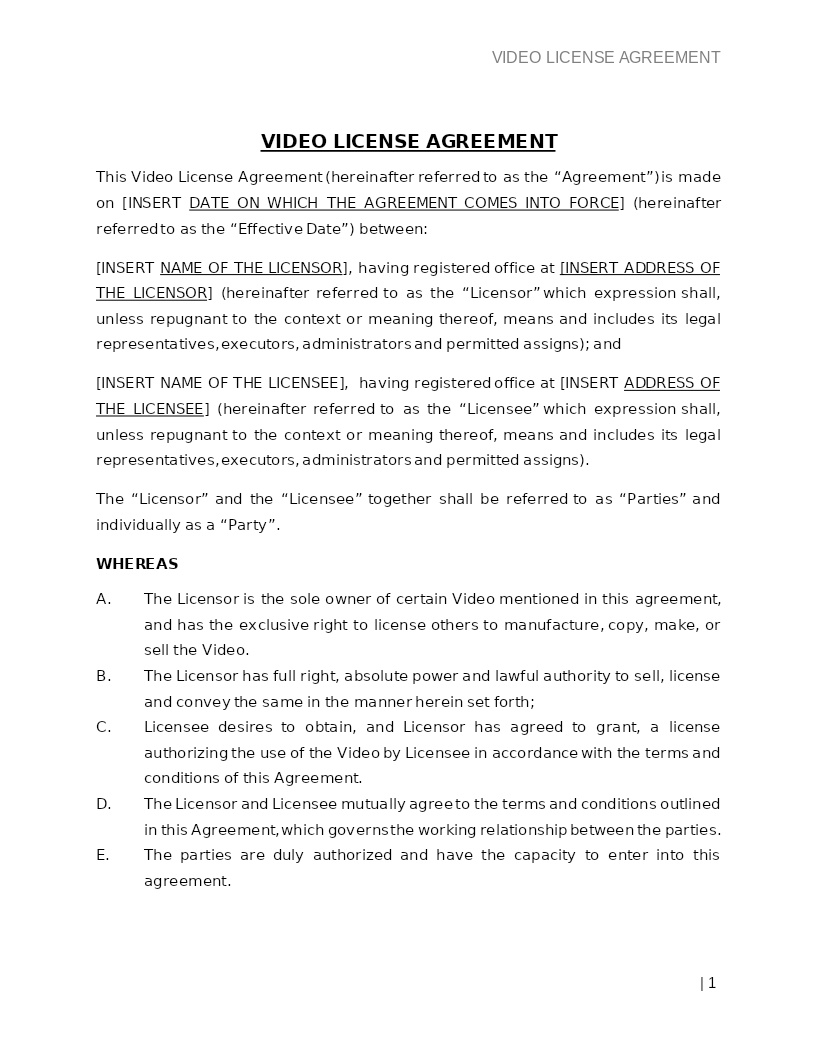 VIDEO LICENSE AGREEMENT