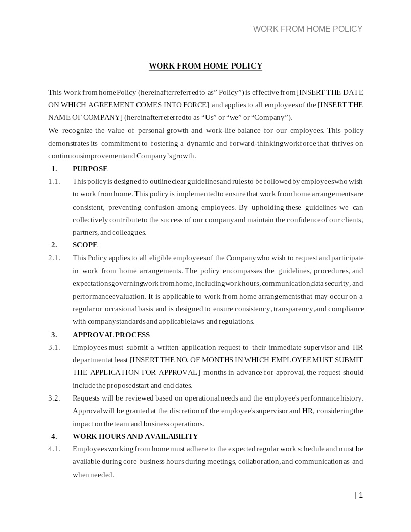 WORK FROM HOME POLICY